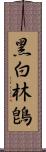 黑白林鵖 Scroll