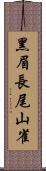 黑眉長尾山雀 Scroll