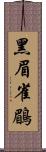 黑眉雀鶥 Scroll