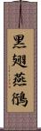 黑翅燕鴴 Scroll