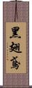 黑翅鳶 Scroll