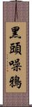 黑頭噪鴉 Scroll