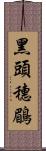 黑頭穗鶥 Scroll