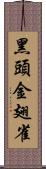 黑頭金翅雀 Scroll