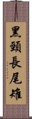 黑頸長尾雉 Scroll