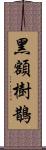 黑額樹鵲 Scroll