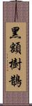 黑額樹鵲 Scroll