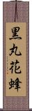 黒丸花蜂 Scroll