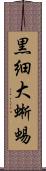 黒細大蜥蜴 Scroll