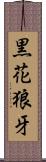 黒花狼牙 Scroll