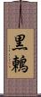 黒鶫 Scroll