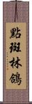 點斑林鴿 Scroll