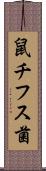 鼠チフス菌 Scroll