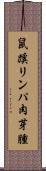 鼠蹊リンパ肉芽腫 Scroll