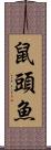 鼠頭魚 Scroll