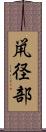 鼡径部 Scroll