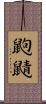鼩鼱 Scroll
