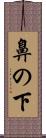 鼻の下 Scroll