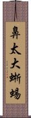 鼻太大蜥蜴 Scroll