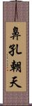 鼻孔朝天 Scroll