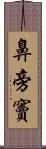 鼻旁竇 Scroll