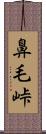 鼻毛峠 Scroll