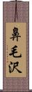 鼻毛沢 Scroll