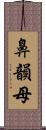 鼻韻母 Scroll