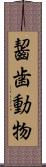 齧歯動物 Scroll