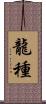龍種 Scroll
