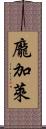 龐加萊 Scroll