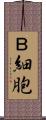 Ｂ細胞 Scroll