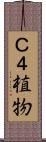 Ｃ４植物 Scroll