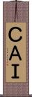 ＣＡＩ Scroll
