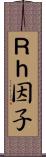 Ｒｈ因子 Scroll