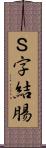 Ｓ字結腸 Scroll