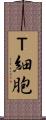 Ｔ細胞 Scroll