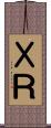 ＸＲ Scroll