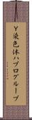 Ｙ染色体ハプログループ Scroll