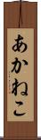 あかねこ Scroll