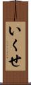 いくせ Scroll
