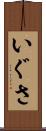 いぐさ Scroll