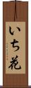 いち花 Scroll