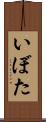 いぼた Scroll