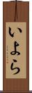 いよら Scroll