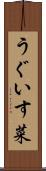うぐいす菜 Scroll
