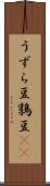 うずら豆 Scroll