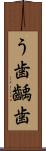 う歯;齲歯 Scroll