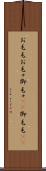 お毛毛 Scroll