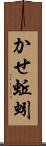 かせ蚯蚓 Scroll